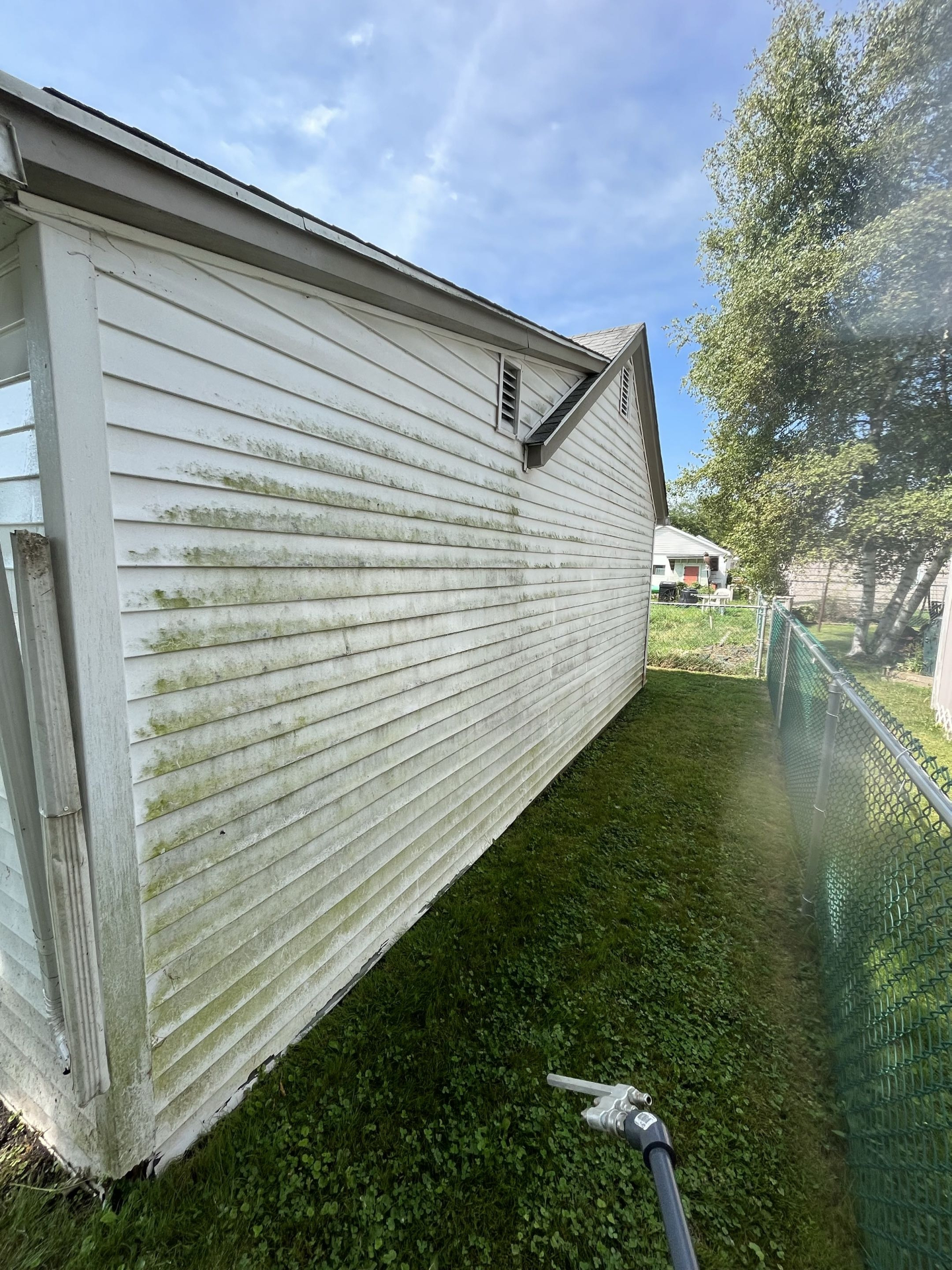 House soft wash — algae removed from siding before